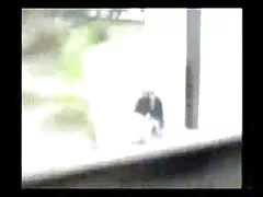 الحمار الأبيض مقاطع سكسياجنبي هزيلة
